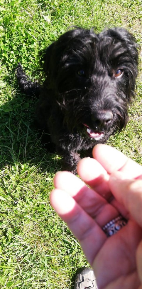 71539051 2401553170102050 8836739570495127552 o