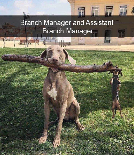 Screenshot 2019 10 10 at 10.40.51